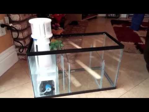 How to setup a 10 Gallon Nano Reef Tank, DIY Sump, SCA 301 protein skimmer setup