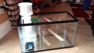 How to setup a 10 Gallon Nano Reef Tank, DIY Sump, SCA 301 protein skimmer setup