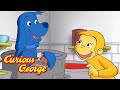 George The Orange Monkey Curious George Kids Cartoon Kids Movies