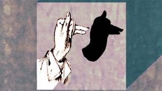 El cazador de guanacos