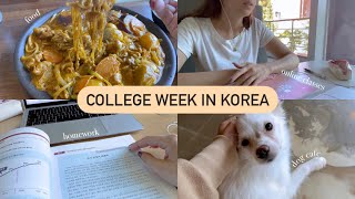 COLLEGE WEEK IN KOREA vlog: lots of homework, what I’ve been eating, dog café 📚👩‍💻🍲🐾