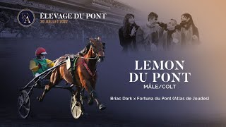 Video  de LEMON DU PONT #2