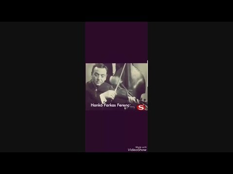 Hankó Farkas Ferenc-énekel és gitározik