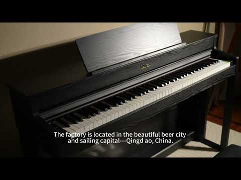 MAYGA Digital Piano | E-10 Model | New products released in 2025