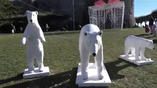 nuovo-atto-vandalico-ai-danni-degli-orsi-di-natale-ad-ariano