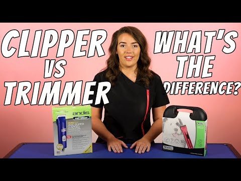 Dog Clipper vs Trimmer - What's the difference? Andis & Wahl!