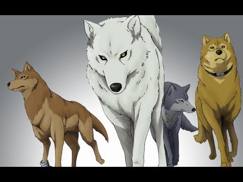 GR Anime Review: Wolf's Rain