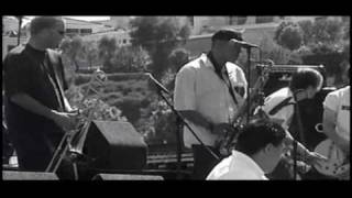 Bulletproof - the Dingees