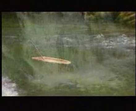 LLAN DE CUBEL-RIGU ESVA