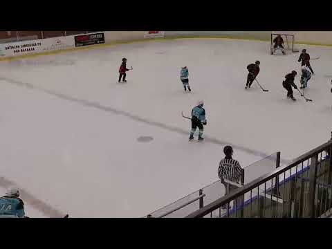 Pelicans U12 Valkoinen - KooKoo