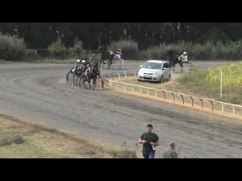 Trka "Quentin Hill" 25.08.2019 Jagersro - Boris Kečenović