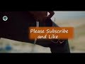 Like I do- Fireboy (official video)