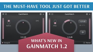 Video thumbnail for What's new in GainMatch 1.2 by LetiMix
