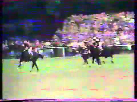 94. Velká pardubická steeplechase - 1984