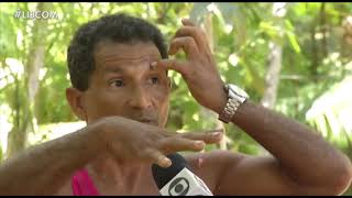 Manejo do açaí nas ilhas de Belém é exemplo de agricultura familiar
