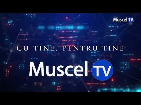 MUSCEL TV diary 19 02 2026 VIEWERS FROM ALL COUNTRIES WANT MUSCEL TV IN THE PROGRAM SCHEDULE