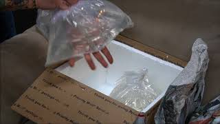 Native Fish Unboxing -A day in the life of a Fish Pimp by Rachel O'Leary
