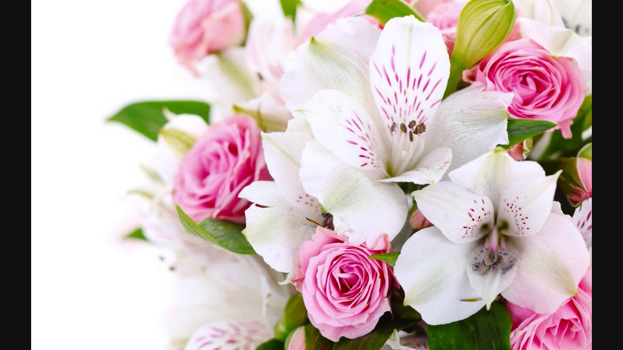 Laga Laga Jhulaniya Ka Dhakka Lyrics  | Johar Mehmood In Hong Kong | I.S. Johar, Mehmood | Asha Bhosle, Usha Khanna | Anandji Virji Shah, Kalyanji Virji Shah