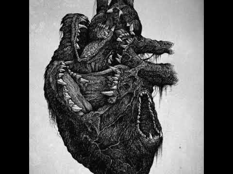 Zoopherbman y Mandragora - Sentimientos