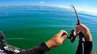 FOUR Hours Of The Best Early Spring Coastal Fishing (Salt & Fresh)