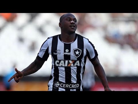 TODOS OS 33 GOLS DE SASSÁ PELO BOTAFOGO