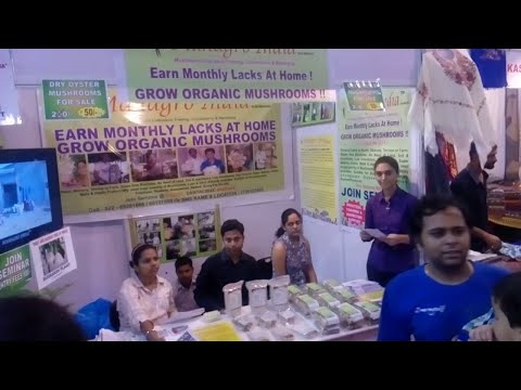 download lagu mp3 mp4 Buy Fresh Oyster Mushrooms, download lagu Buy Fresh Oyster Mushrooms gratis, unduh video klip Buy Fresh Oyster Mushrooms