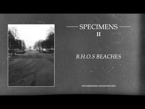 SPECIMENS - 'B.H.O.S Beaches'