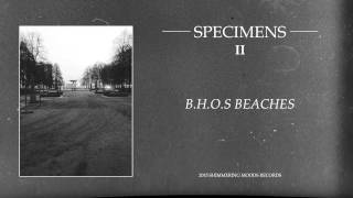 SPECIMENS - 'B.H.O.S Beaches'