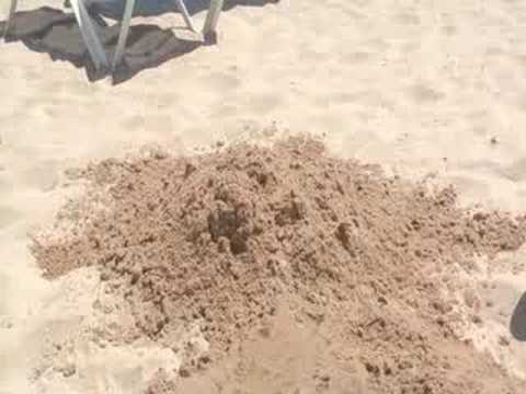 Hole-y Beach Hellraiser