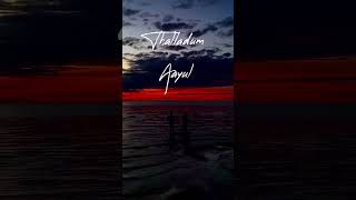 Download lagu ✨💖sollatha aasai ellam neethane penne oh ohh💖✨ lyrics love whatsapp status tamil mp3 Download lagu ✨💖sollatha aasai ellam neethane penne oh ohh💖✨ lyrics love whatsapp status tamil mp3