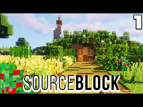 Sourceblock #1 I JOINED AN SMP : Minecraft 1.14 Survival Multiplayer