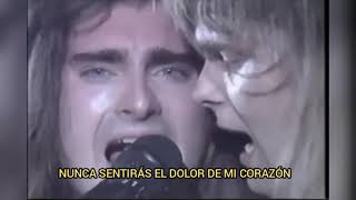 Winter Rose/ I&#39;ll never fall in love again (Sub español)