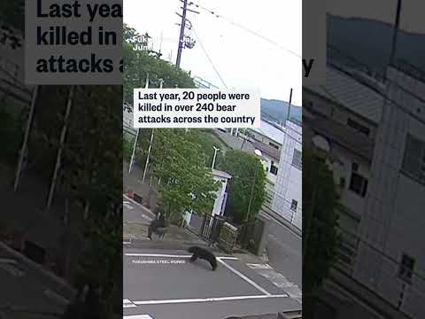 Bear injures four in Japanese residential area