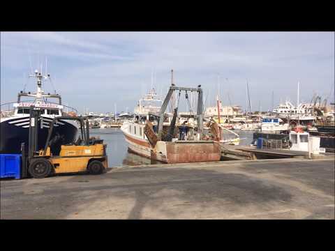 download lagu mp3 mp4 Visiter Vias Et Ses Alentours, download lagu Visiter Vias Et Ses Alentours gratis, unduh video klip Visiter Vias Et Ses Alentours