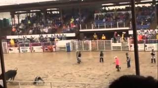 Angola Prison Rodeo: Wildest Show in the South! Guts and Glory