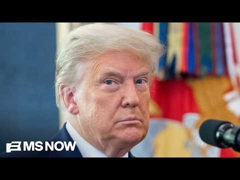 'Pitting Americans against each other': Smikle on 'incredibly dangerous' division Trump fosters