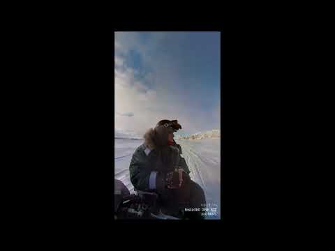 Snowmobile tour to "Mohnbukta" bay on Svalbard