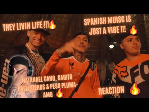 THEY LIVING LIFE 🤣NATANAEL CANO , GABITO BALLESTEROS & PESO PLUMA-AMG (REACTION) 🥶