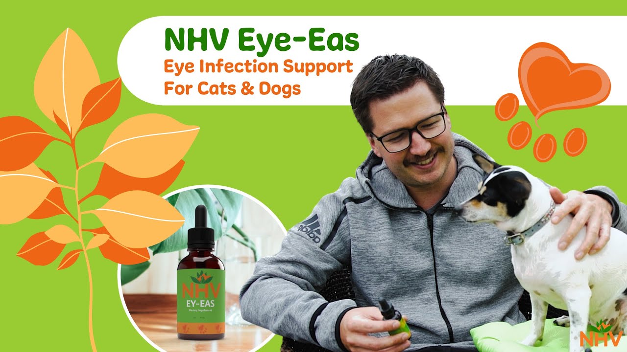 NHV Ey-Eas: Eye Infection Support For Cats & Dogs