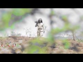 Ittiiqaa Tafarii Itti Muddi Itti Muddi New Oromo Music 2016
