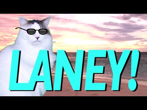 HAPPY BIRTHDAY LANEY! - EPIC CAT Happy Birthday Song
