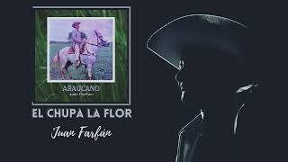 El Chupa La Flor Lyrics English Translation
