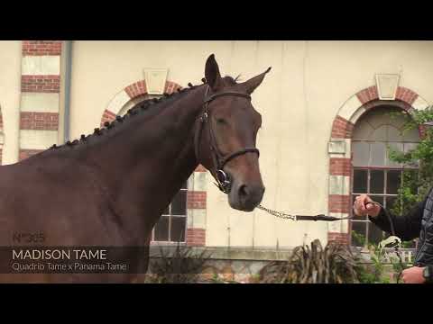 MADISON TAME