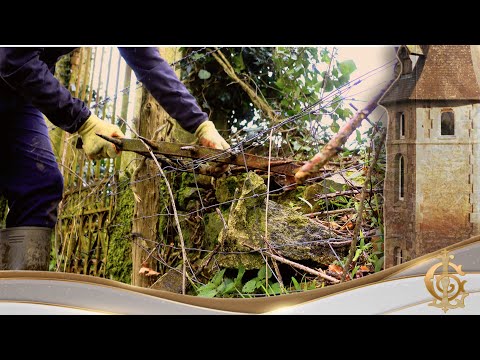 Unexpected DISCOVERY At The Chateau Gate | You Have to See This!