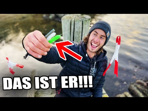 Kauf NICHT diese Köder! Die Wahrheit hinter den besten Gummifische für Zander