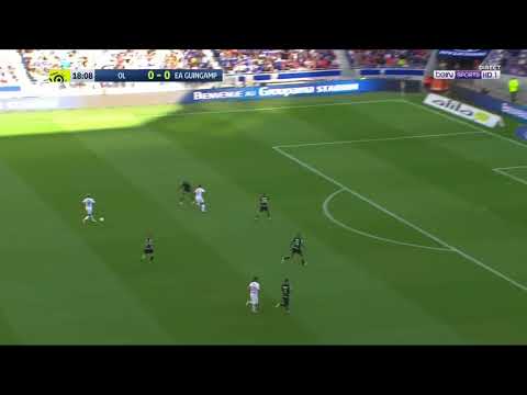 Mariano Diaz 19' Beautiful  Goal Lyon 1 0 Guingamp  HD