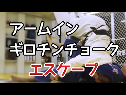 アームinギロチンディフェンス