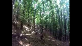 Download lagu kdd vitoria. Sendas de Alava 2015 mp3 Download lagu kdd vitoria. Sendas de Alava 2015 mp3