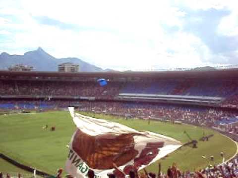 Horto Tricolor!!!!! Fluminense vs Palmeiras choroes