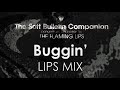 Buggin' (Lips Mix) - The Flaming Lips